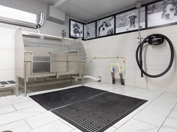 Pet grooming station